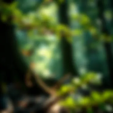 Magnificent Characteristics of Natural Resources Magnificent Characteristics of Natural Resources