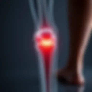 Magnificent Comparative Perspectives on Osteoarthritis and Rheumatoid Arthritis