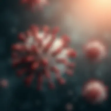 Magnificent Exploring the Context and Implications of Spike Protein RBD Magnificent Exploring the Context and Implications of Spike Protein RBD