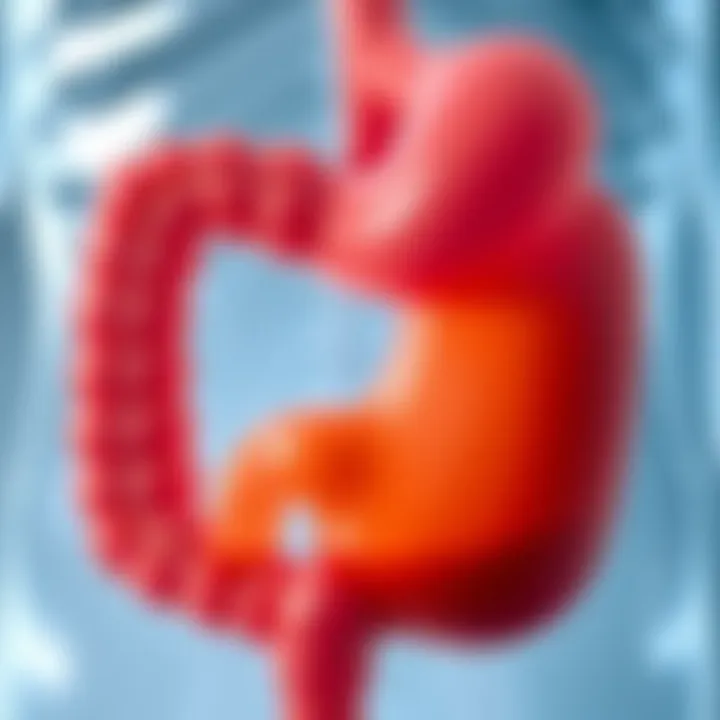 Magnificent Natural Treatment for Gastric Ulcer: A Comprehensive Guide