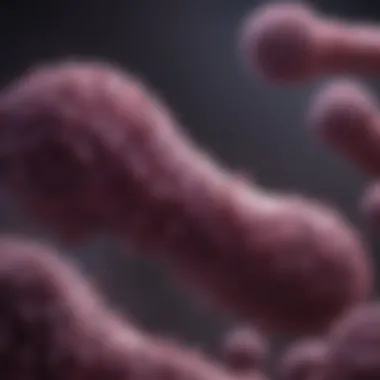 Magnificent Pancreatic Cancer and Heredity: Exploring Genetic Links Magnificent Pancreatic Cancer and Heredity: Exploring Genetic Links