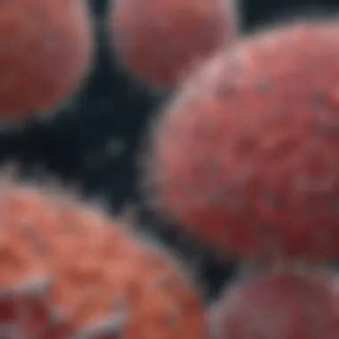 Magnificent Understanding Cleaved Caspase 3: Size and Implications in Cellular Processes Magnificent Understanding Cleaved Caspase 3: Size and Implications in Cellular Processes
