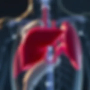 Magnificent Understanding Liver Symptoms: A Comprehensive Overview