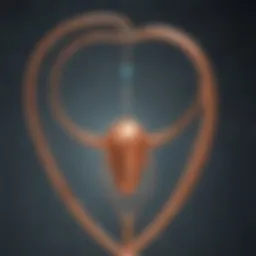 Illustration depicting the mechanism of action of the copper IUD