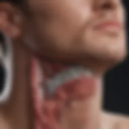 Anatomy of a port site detailing surrounding tissues