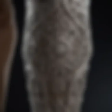 Detailed view of the Alvarado leg holder showcasing its intricate design and features