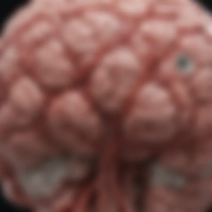 Graphical representation of aneurysm size and rupture risk correlation