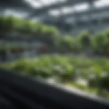 Innovative aquaponics technology and equipment