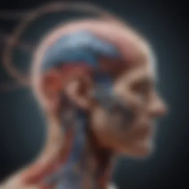 Understanding Neurological Pathways Neurological pathways involved in language processing