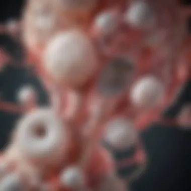 Mechanisms of Action of Bladder Probiotics Diagram showing mechanisms of action of probiotics