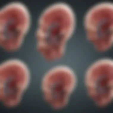 Imaging Techniques for Measuring Aneurysms Diagram showing various imaging techniques for aneurysm measurement