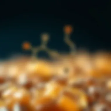 Chemical Constituents of Chirata Chemical structure of chirata's active compounds