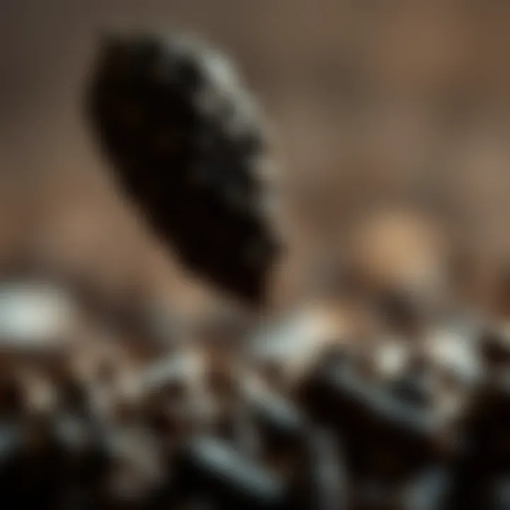 Contemporary Research on Chirata Contemporary research on chirata's health benefits