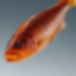 Composition of coated fish oil illustrating omega-3 fatty acids