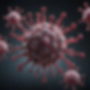 Molecular Structure of the Rubella Virus Rubella virus structure at the molecular level