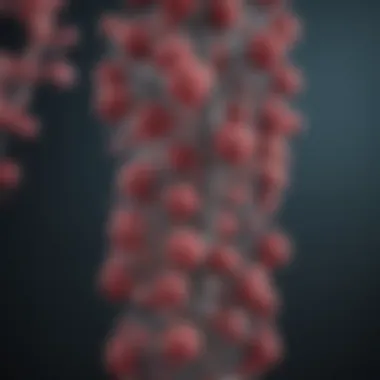 Transmission Pathways of Rubella Transmission pathways of rubella disease illustrated