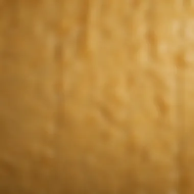 Texture of Thawed American Cheese Thawed American cheese showing texture