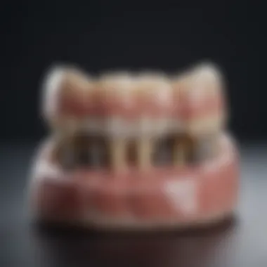 Materials used in dental prosthetic applications