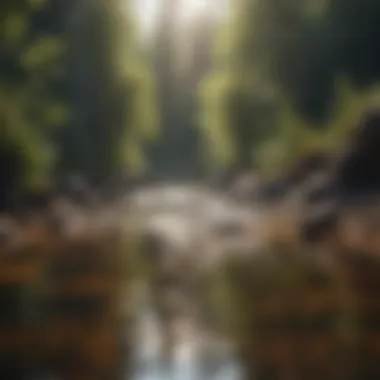 Water quality analysis