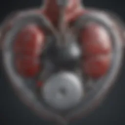 Innovative design of an atrial defibrillator pacemaker showcasing its intricate components