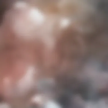 Therapeutic Options for Cutaneous Marginal B Cell Lymphoma Therapeutic options for treating cutaneous marginal B cell lymphoma