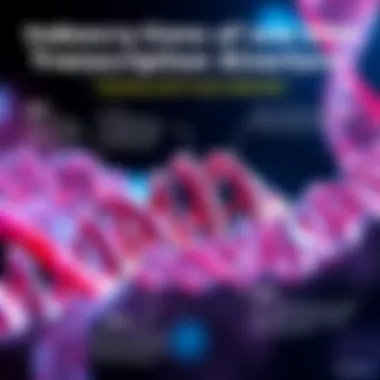 Infographic detailing the consequences of transcription errors