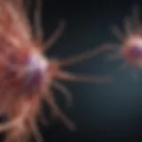 Graphical representation of CRISPR-Cas mechanisms