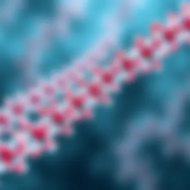 Structural Analysis of CSP Antibodies Diagram illustrating the structure of CSP antibodies
