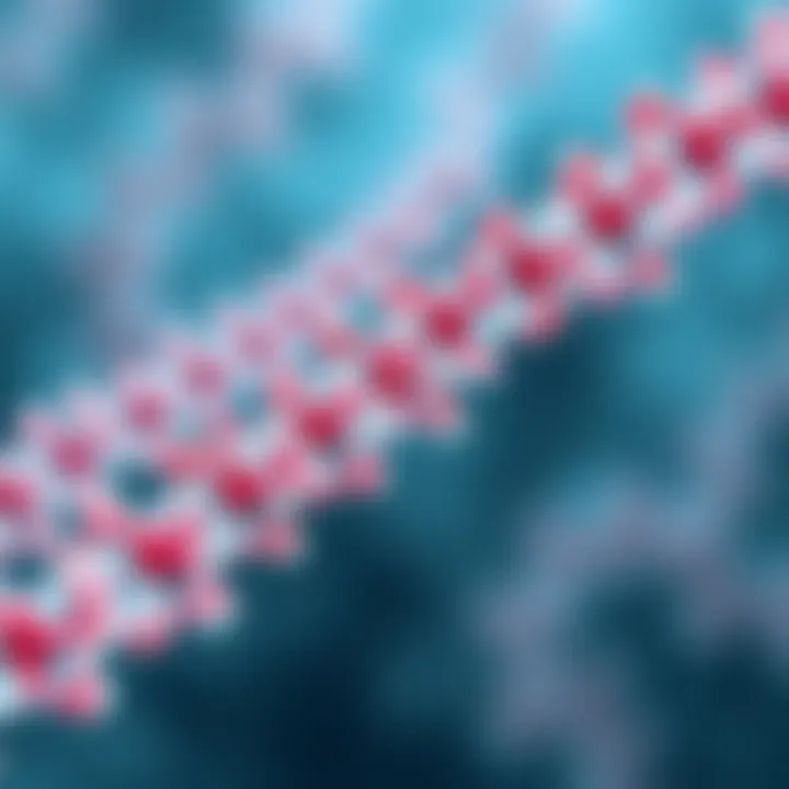 Structural Analysis of CSP Antibodies Diagram illustrating the structure of CSP antibodies