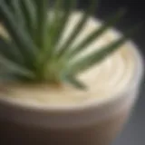 Detailed view of Dermaide Aloe Cream showcasing its smooth texture
