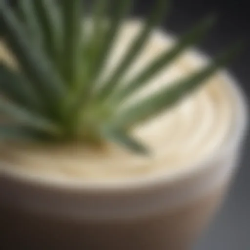 Detailed view of Dermaide Aloe Cream showcasing its smooth texture