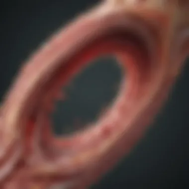Arterial Plaque Dynamics Visual representation of arterial plaque formation and reduction.