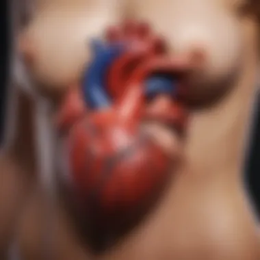 Maternal Health and CHD Diagram showing the interaction between maternal health and congenital heart disease.