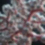 Structure of artificial gums at molecular level