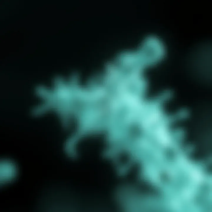 Asbestos Fibers Magnified Asbestos fibers under a microscope
