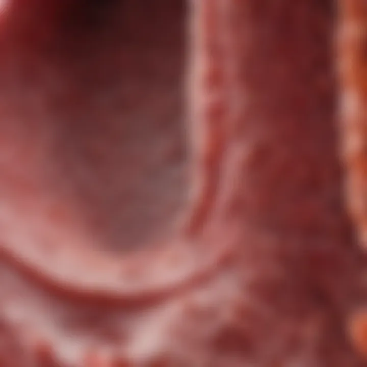 Close-up of healthy and unhealthy bowel tissue