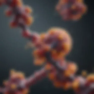 Molecular Insights into CALR Mutation Molecular structure of CALR mutation