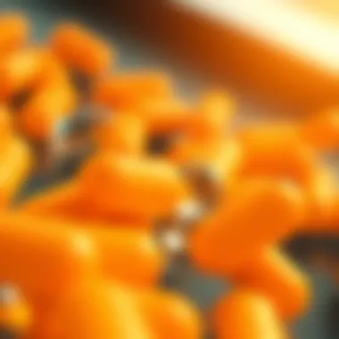 Exploring Glucosamine Relief: Mechanisms, Efficacy, and Applications Summary