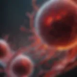 Visual representation of Myeloma Plasma cells