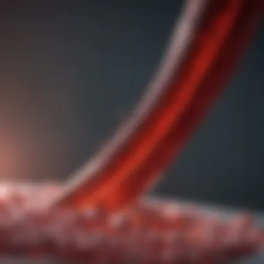 Cutting-edge Research in Myeloma Plasma Infographic on recent research advancements in MPM