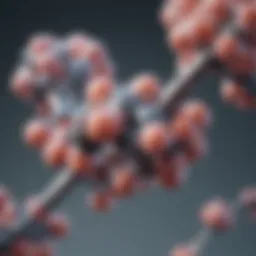 Chemical structure of Naproxen