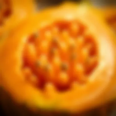 Close-up of Unique Papaya Seeds Close-up of papaya seeds highlighting their unique texture