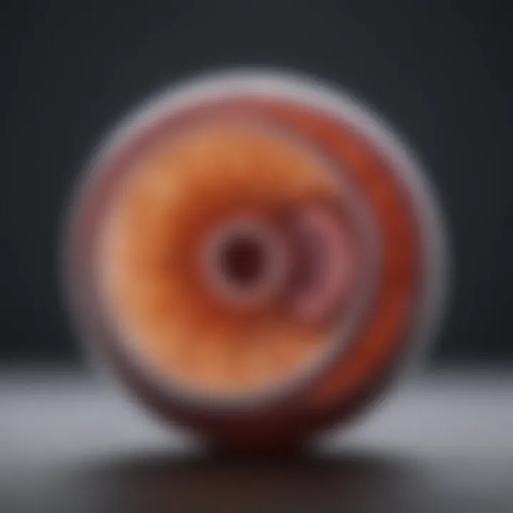 Exploring the 6BB Embryo: Insights and Implications Introduction