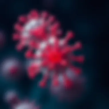Notable Exploring the Context and Implications of Spike Protein RBD Notable Exploring the Context and Implications of Spike Protein RBD