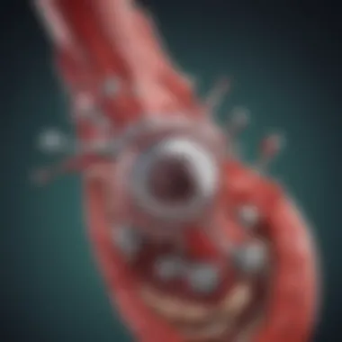 An infographic depicting the mechanism of action of Aranesp in stimulating erythropoiesis.