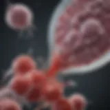 Diagram illustrating the mechanism of action of Xarelto in anticoagulation therapy