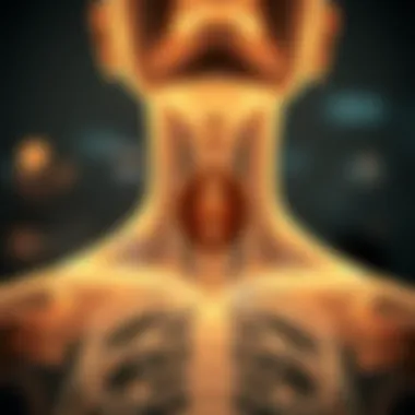 Diagram illustrating thyroid function and iodine's role