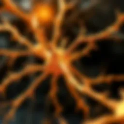 Illustration of neuron morton showcasing its intricate structure