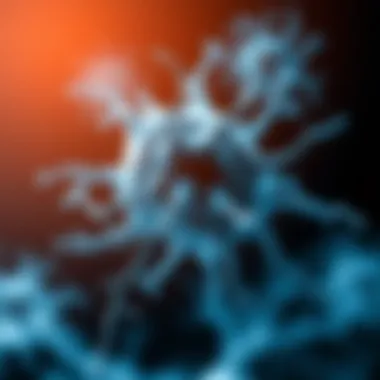 Neuron Morton and Neurological Disorders Graphical representation of neuron morton in relation to neurological disorders