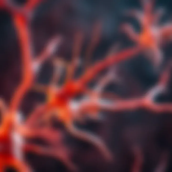 Comparative Analysis of Neuron Morton Visual comparison of neuron morton across different species